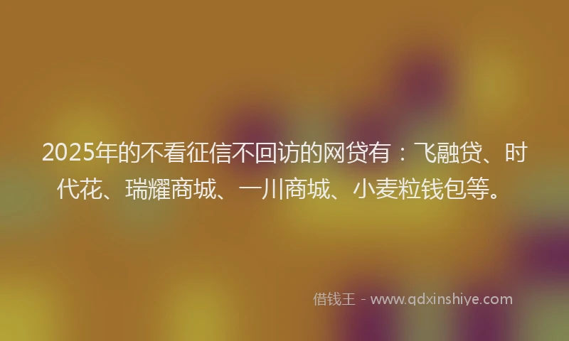 2025年的不看征信不回访的网贷有：飞融贷、时代花、瑞耀商城、一川商城、小麦粒钱包等。