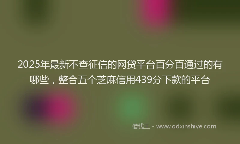 2025年最新不查征信的网贷平台百分百通过的有哪些，整合五个芝麻信用439分下款的平台