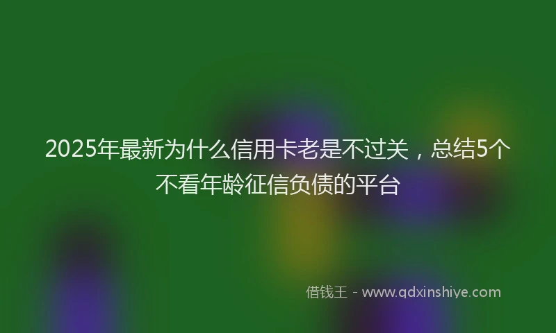 2025年最新为什么信用卡老是不过关，总结5个不看年龄征信负债的平台