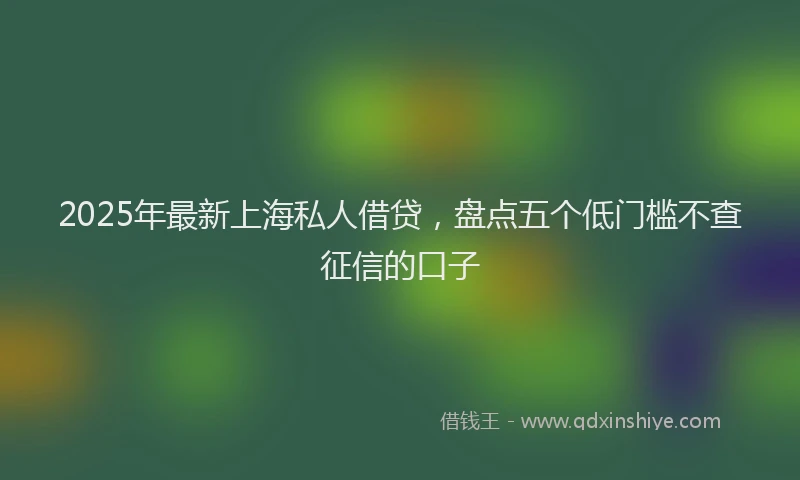 2025年最新上海私人借贷，盘点五个低门槛不查征信的口子