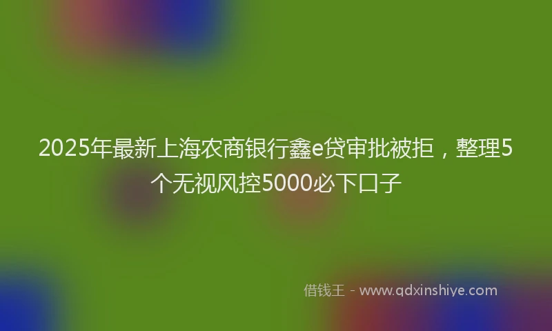 2025年最新上海农商银行鑫e贷审批被拒，整理5个无视风控5000必下口子