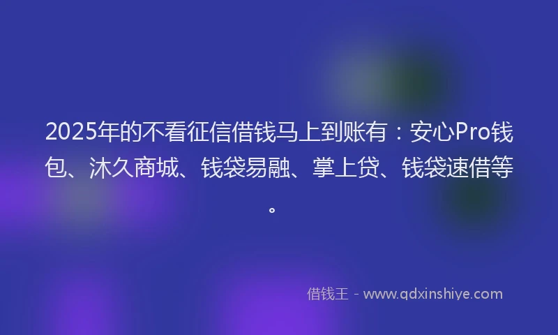 2025年的不看征信借钱马上到账有：安心Pro钱包、沐久商城、钱袋易融、掌上贷、钱袋速借等。
