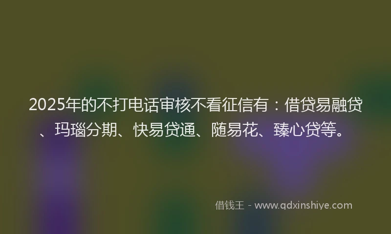 2025年的不打电话审核不看征信有：借贷易融贷、玛瑙分期、快易贷通、随易花、臻心贷等。