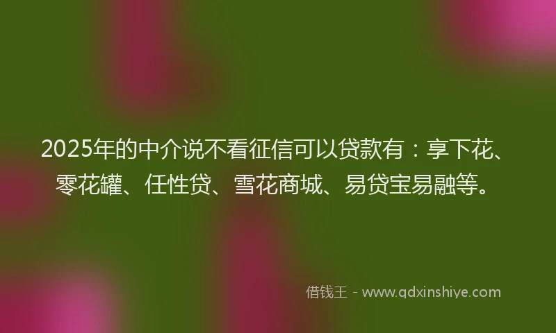2025年的中介说不看征信可以贷款有：享下花、零花罐、任性贷、雪花商城、易贷宝易融等。