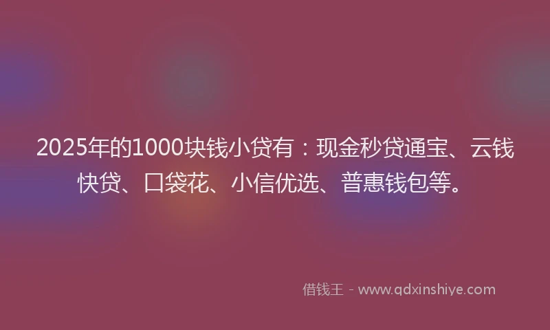 2025年的1000块钱小贷有：现金秒贷通宝、云钱快贷、口袋花、小信优选、普惠钱包等。