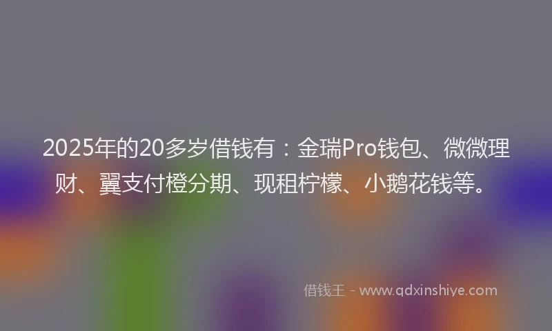 2025年的20多岁借钱有：金瑞Pro钱包、微微理财、翼支付橙分期、现租柠檬、小鹅花钱等。