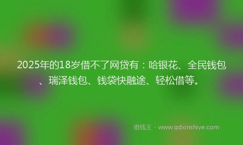 2025年的18岁借不了网贷有：哈银花、全民钱包、瑞泽钱包、钱袋快融途、轻松借等。