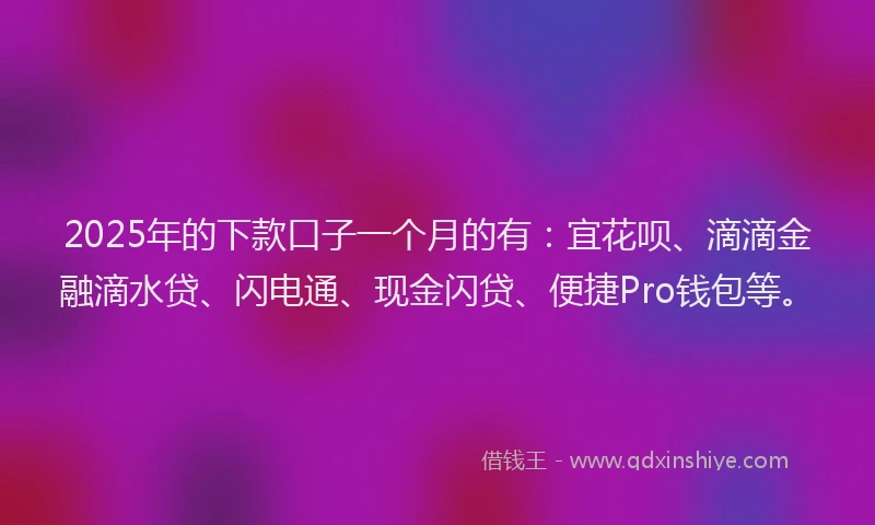 2025年的下款口子一个月的有：宜花呗、滴滴金融滴水贷、闪电通、现金闪贷、便捷Pro钱包等。