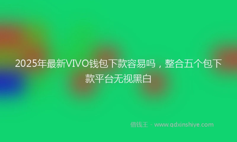 2025年最新VIVO钱包下款容易吗，整合五个包下款平台无视黑白