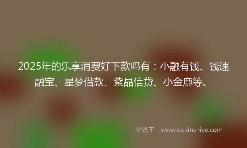 2025年的乐享消费好下款吗有：小融有钱、钱速融宝、星梦借款、紫晶信贷、小金鹿等。