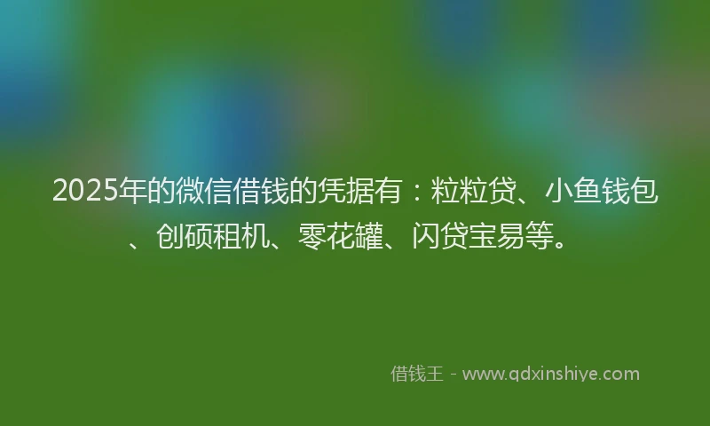 2025年的微信借钱的凭据有：粒粒贷、小鱼钱包、创硕租机、零花罐、闪贷宝易等。