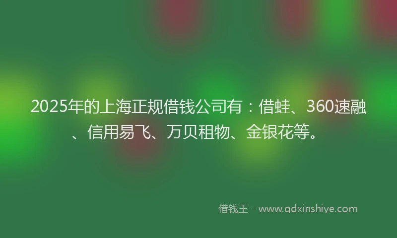 2025年的上海正规借钱公司有：借蛙、360速融、信用易飞、万贝租物、金银花等。