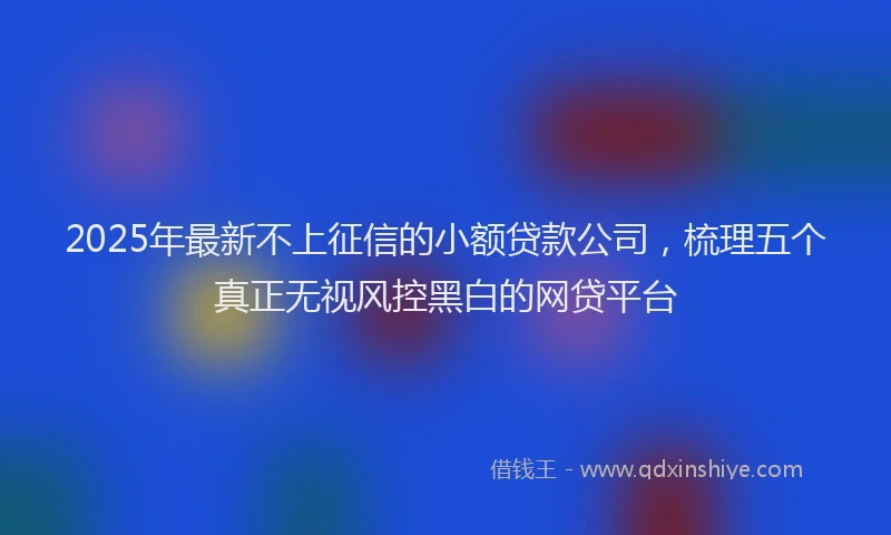 2025年最新不上征信的小额贷款公司，梳理五个真正无视风控黑白的网贷平台