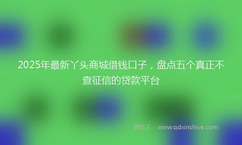 2025年最新丫头商城借钱口子，盘点五个真正不查征信的贷款平台