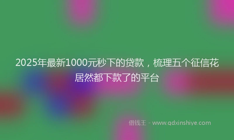 2025年最新1000元秒下的贷款，梳理五个征信花居然都下款了的平台