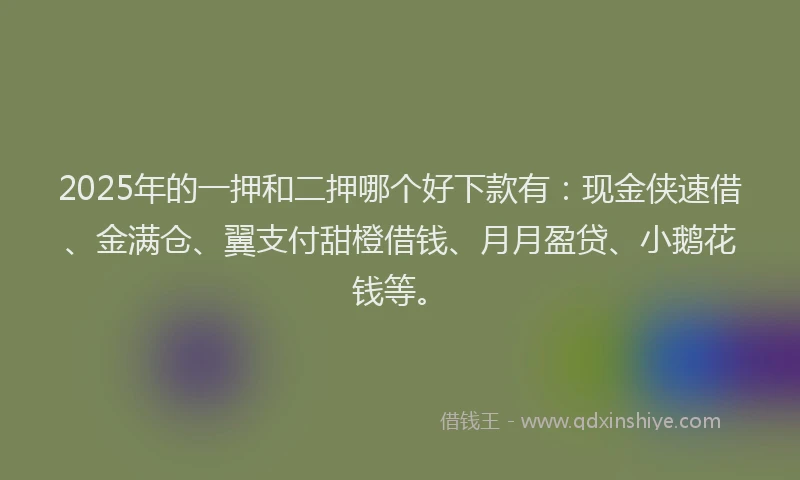 2025年的一押和二押哪个好下款有：现金侠速借、金满仓、翼支付甜橙借钱、月月盈贷、小鹅花钱等。