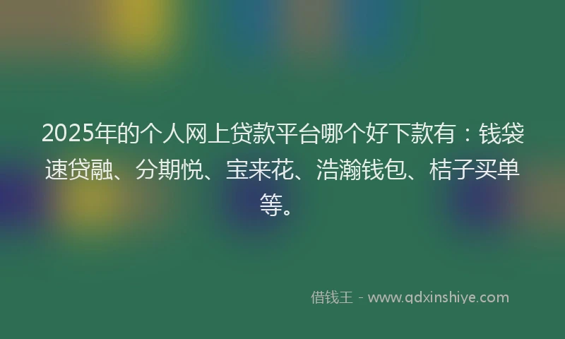 2025年的个人网上贷款平台哪个好下款有：钱袋速贷融、分期悦、宝来花、浩瀚钱包、桔子买单等。