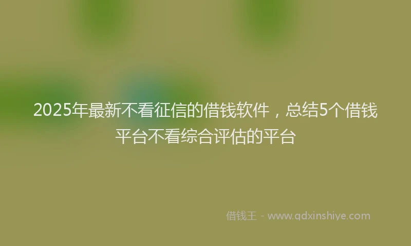 2025年最新不看征信的借钱软件，总结5个借钱平台不看综合评估的平台