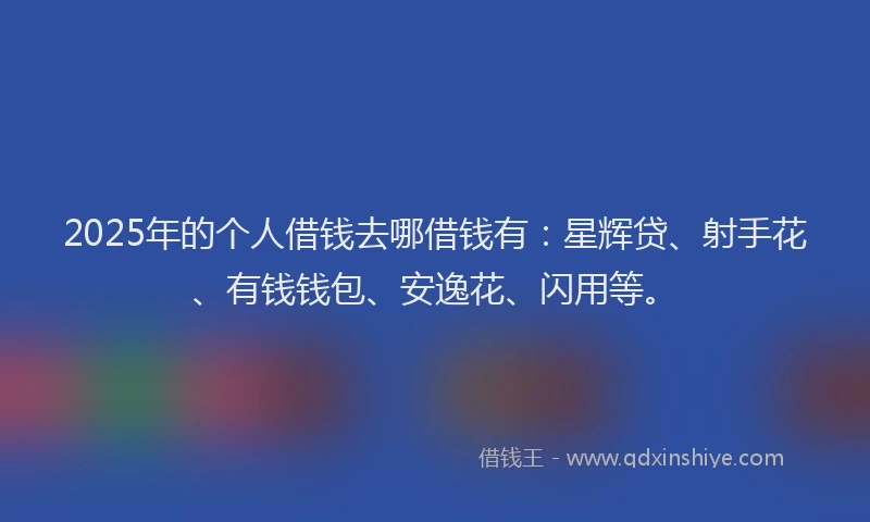 2025年的个人借钱去哪借钱有：星辉贷、射手花、有钱钱包、安逸花、闪用等。