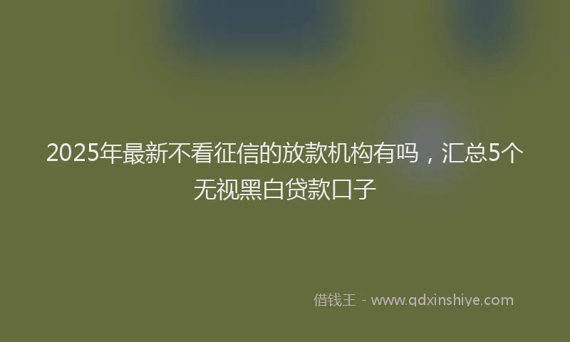 2025年最新不看征信的放款机构有吗，汇总5个无视黑白贷款口子