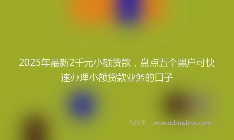2025年最新2千元小额贷款，盘点五个黑户可快速办理小额贷款业务的口子