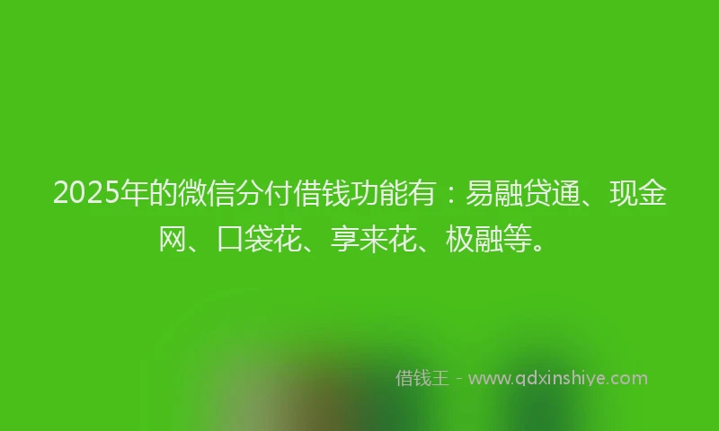 2025年的微信分付借钱功能有：易融贷通、现金网、口袋花、享来花、极融等。