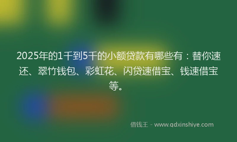2025年的1千到5千的小额贷款有哪些有：替你速还、翠竹钱包、彩虹花、闪贷速借宝、钱速借宝等。