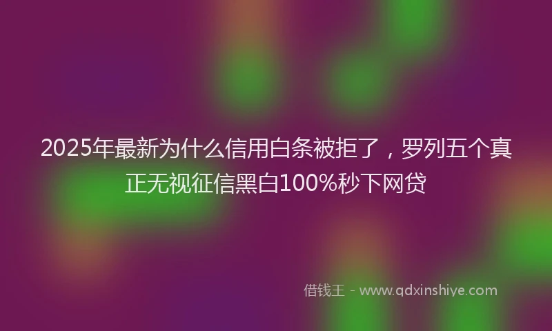 2025年最新为什么信用白条被拒了，罗列五个真正无视征信黑白100%秒下网贷
