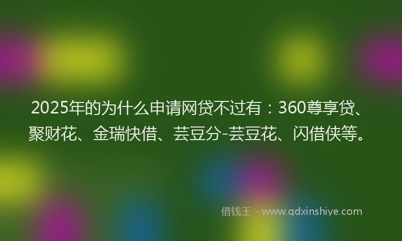 2025年的为什么申请网贷不过有：360尊享贷、聚财花、金瑞快借、芸豆分-芸豆花、闪借侠等。
