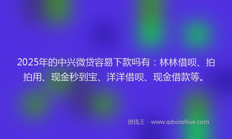 2025年的中兴微贷容易下款吗有：林林借呗、拍拍用、现金秒到宝、洋洋借呗、现金借款等。