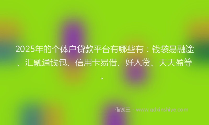 2025年的个体户贷款平台有哪些有：钱袋易融途、汇融通钱包、信用卡易借、好人贷、天天盈等。