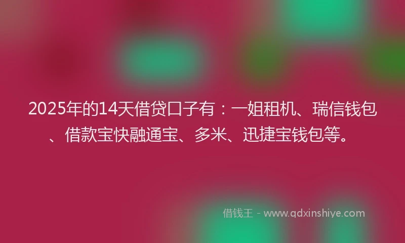 2025年的14天借贷口子有：一姐租机、瑞信钱包、借款宝快融通宝、多米、迅捷宝钱包等。