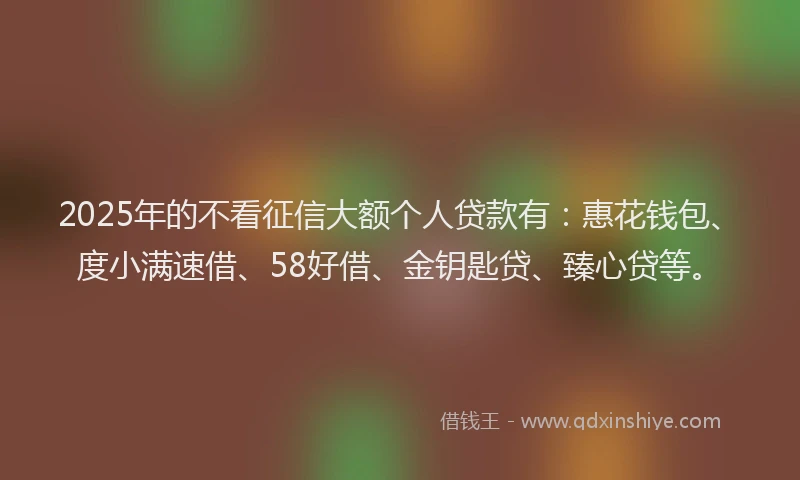 2025年的不看征信大额个人贷款有：惠花钱包、度小满速借、58好借、金钥匙贷、臻心贷等。