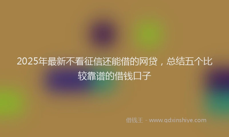 2025年最新不看征信还能借的网贷，总结五个比较靠谱的借钱口子