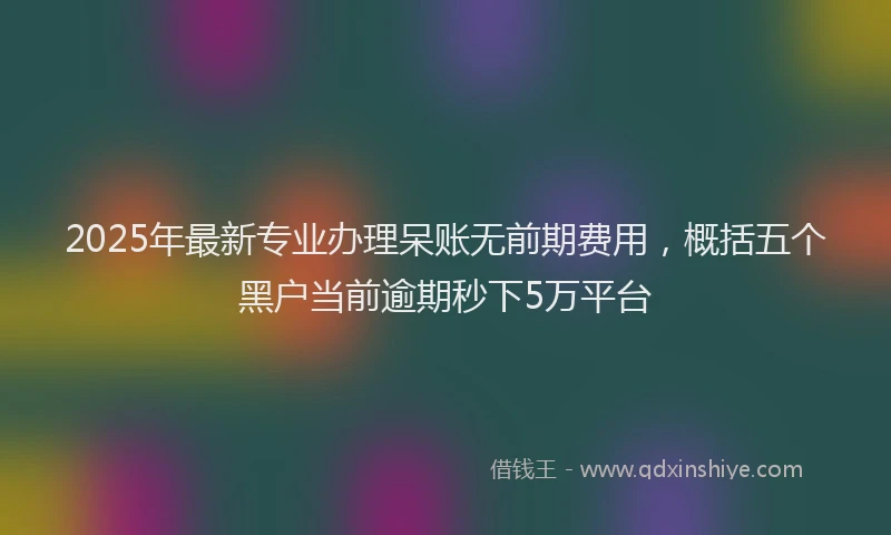 2025年最新专业办理呆账无前期费用，概括五个黑户当前逾期秒下5万平台