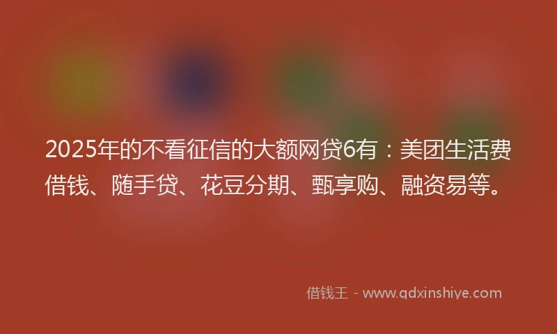 2025年的不看征信的大额网贷6有：美团生活费借钱、随手贷、花豆分期、甄享购、融资易等。