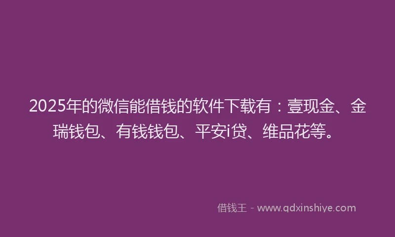 2025年的微信能借钱的软件下载有：壹现金、金瑞钱包、有钱钱包、平安i贷、维品花等。