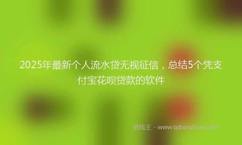 2025年最新个人流水贷无视征信，总结5个凭支付宝花呗贷款的软件
