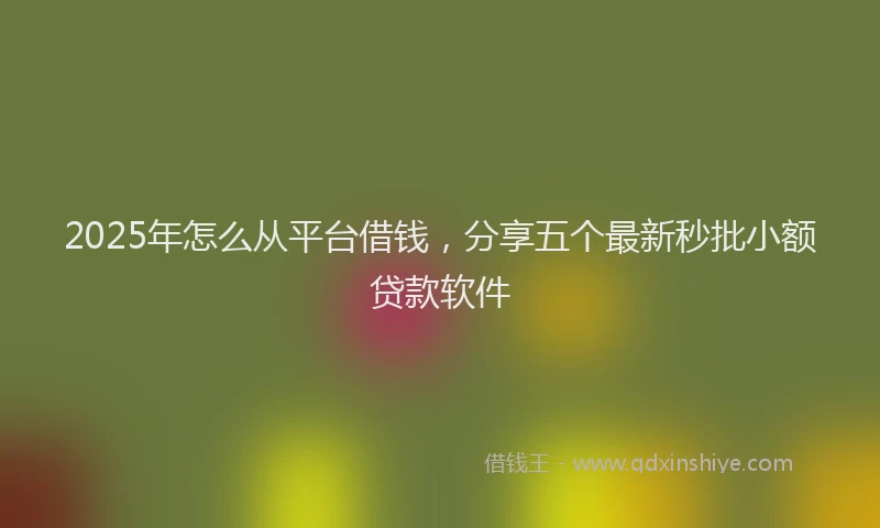 2025年怎么从平台借钱，分享五个最新秒批小额贷款软件