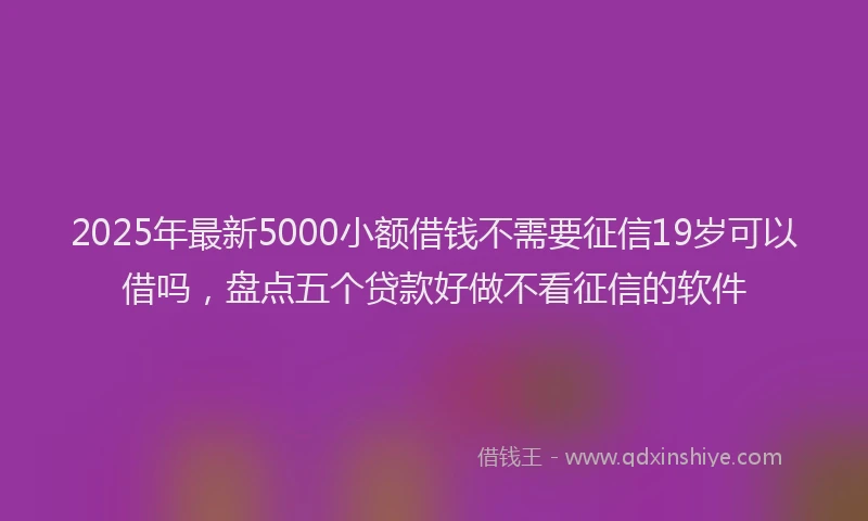 2025年最新5000小额借钱不需要征信19岁可以借吗，盘点五个贷款好做不看征信的软件