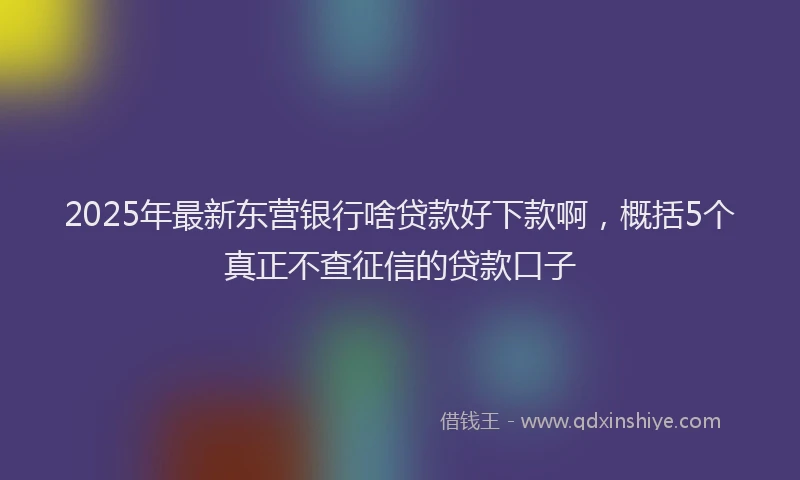 2025年最新东营银行啥贷款好下款啊，概括5个真正不查征信的贷款口子