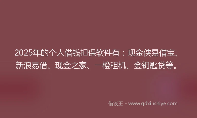 2025年的个人借钱担保软件有：现金侠易借宝、新浪易借、现金之家、一橙租机、金钥匙贷等。