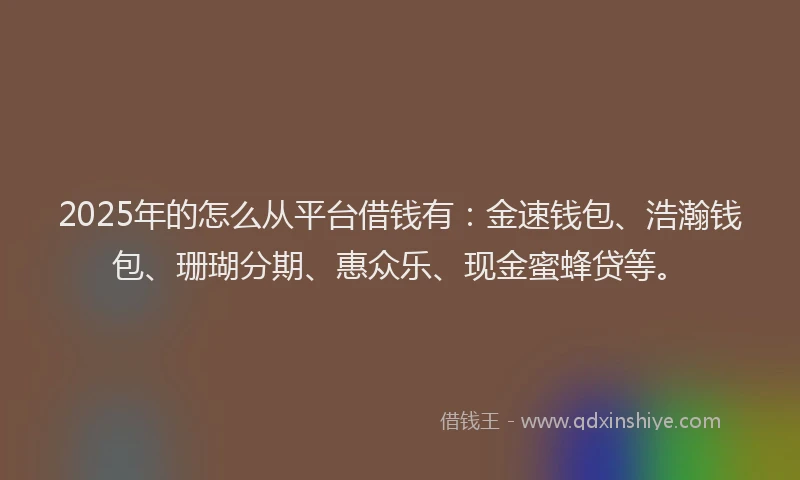 2025年的怎么从平台借钱有：金速钱包、浩瀚钱包、珊瑚分期、惠众乐、现金蜜蜂贷等。
