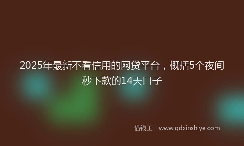 2025年最新不看信用的网贷平台，概括5个夜间秒下款的14天口子