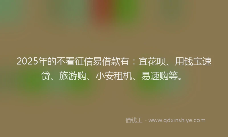 2025年的不看征信易借款有：宜花呗、用钱宝速贷、旅游购、小安租机、易速购等。