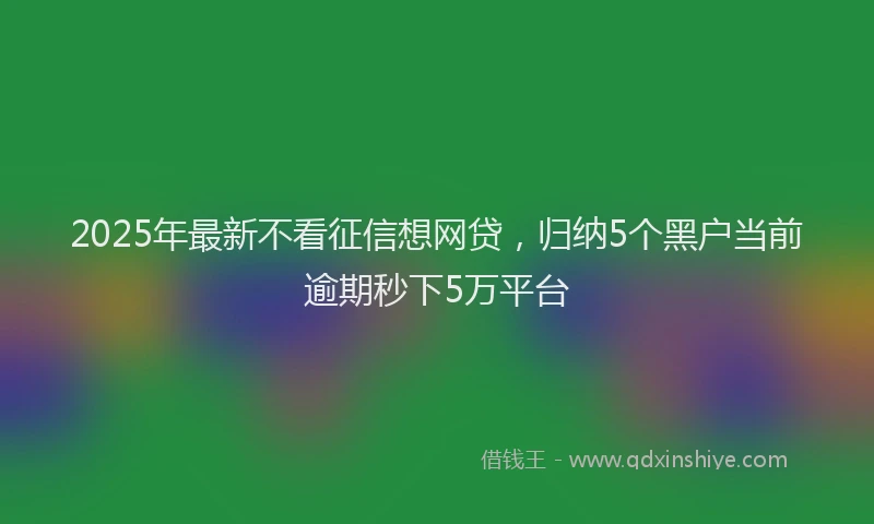 2025年最新不看征信想网贷，归纳5个黑户当前逾期秒下5万平台