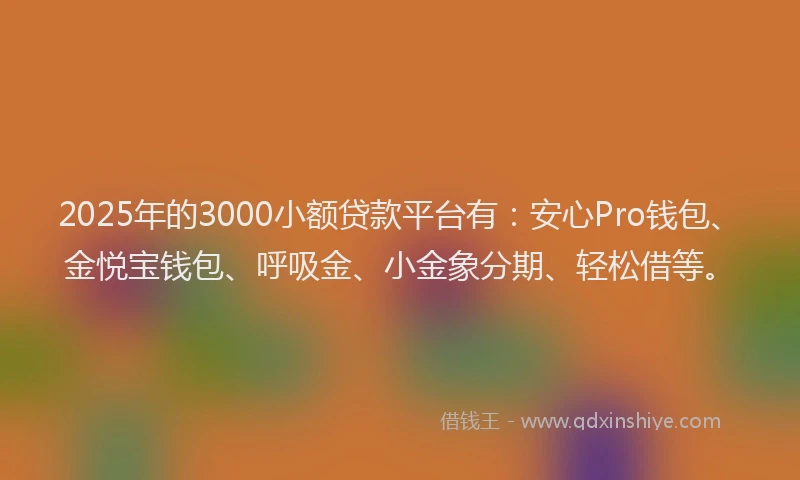 2025年的3000小额贷款平台有：安心Pro钱包、金悦宝钱包、呼吸金、小金象分期、轻松借等。