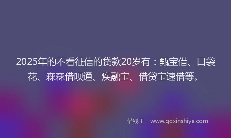 2025年的不看征信的贷款20岁有：甄宝借、口袋花、森森借呗通、疾融宝、借贷宝速借等。