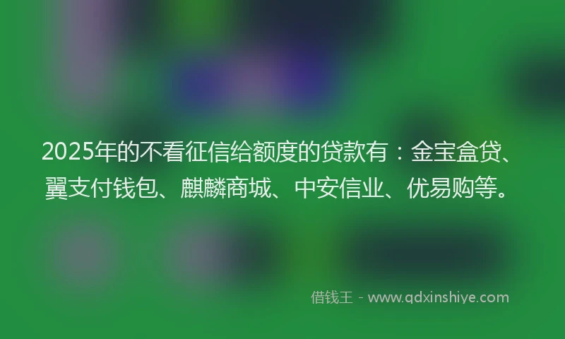 2025年的不看征信给额度的贷款有：金宝盒贷、翼支付钱包、麒麟商城、中安信业、优易购等。