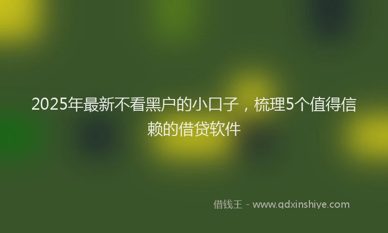 2025年最新不看黑户的小口子，梳理5个值得信赖的借贷软件